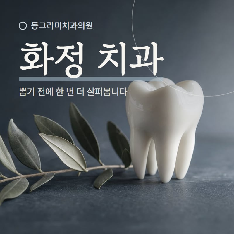 동그라미치과 로고가 새겨진 유리 파티션과 창가 진료실
