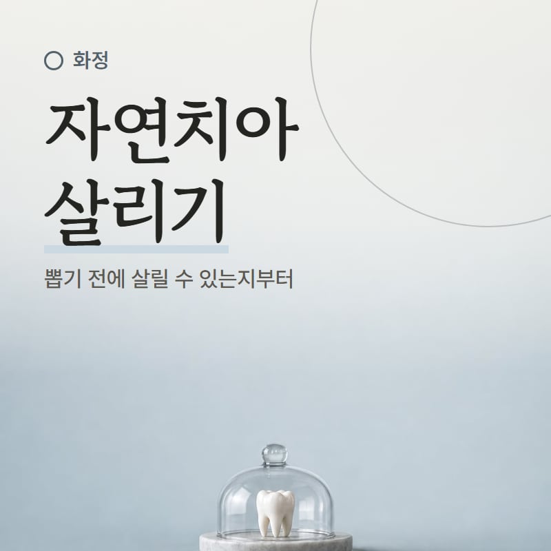 치과 거울에 비친 어금니