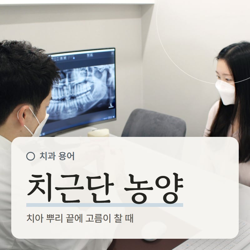 파노라마 엑스레이를 보며 상담하는 장면