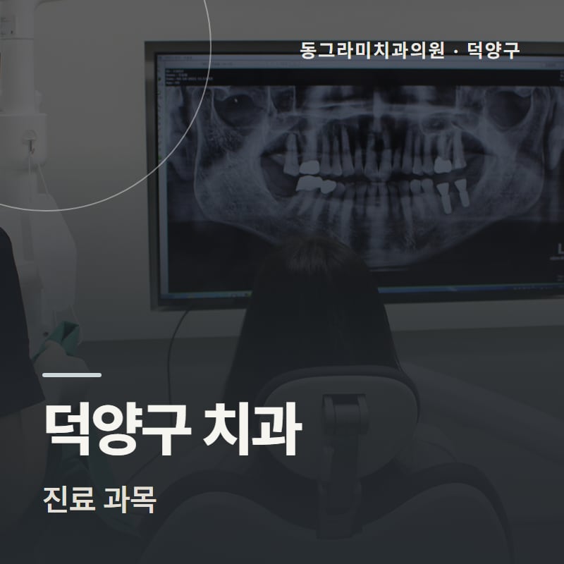 덕양구 치과 진료 과목