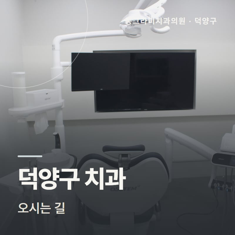 덕양구 치과 오시는 길