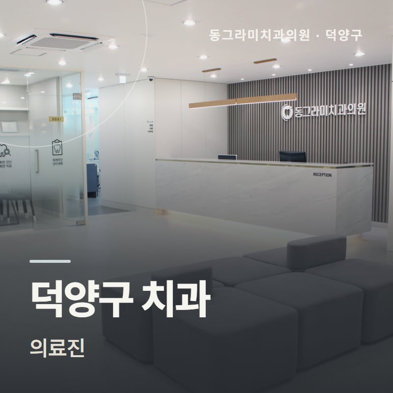 덕양구 치과 의료진