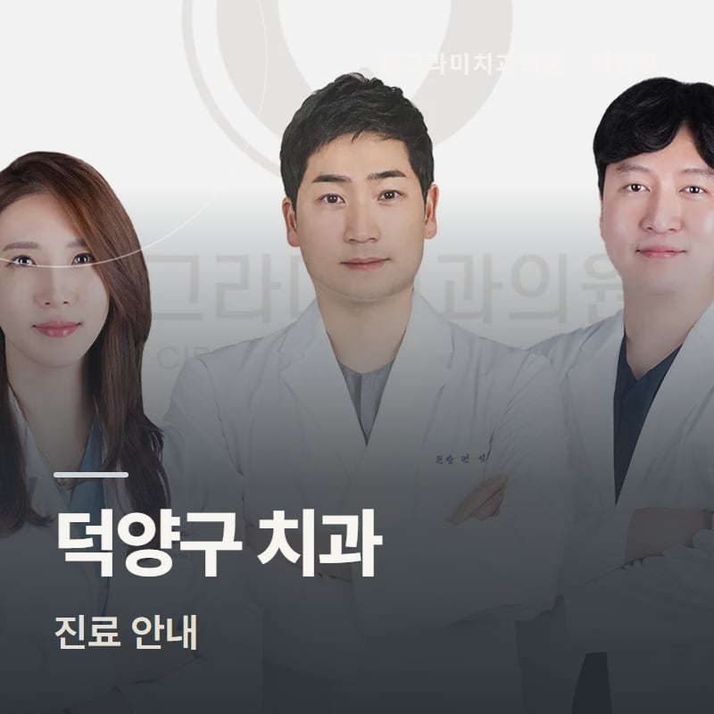 덕양구 치과 진료 안내