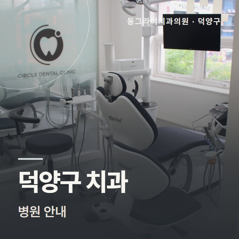 덕양구 치과 병원 안내