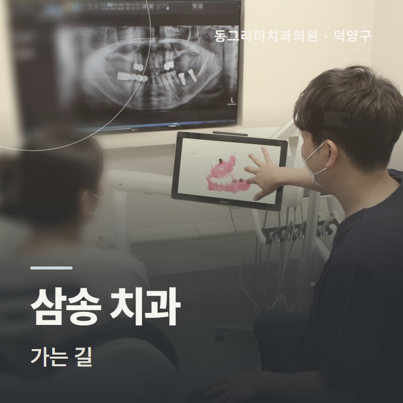 삼송 치과 가는 길