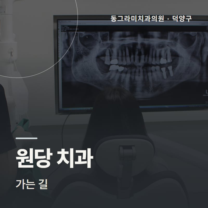 원당 치과 가는 길