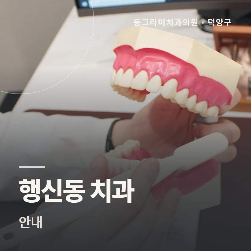 행신동 치과 안내