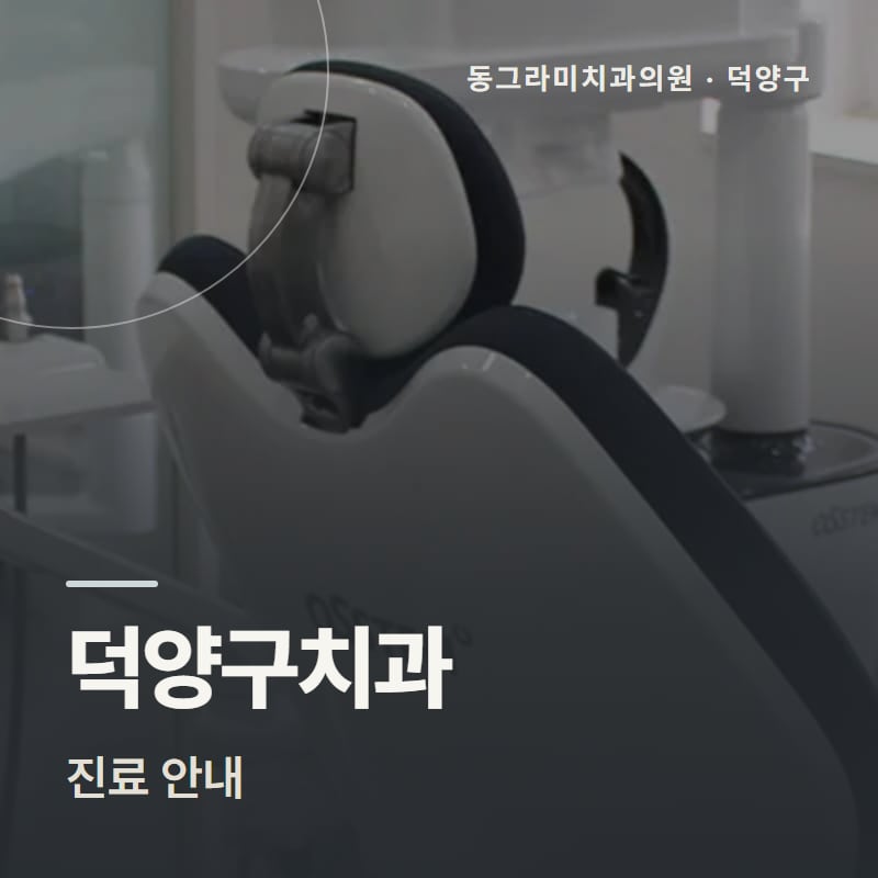 덕양구치과 진료 안내